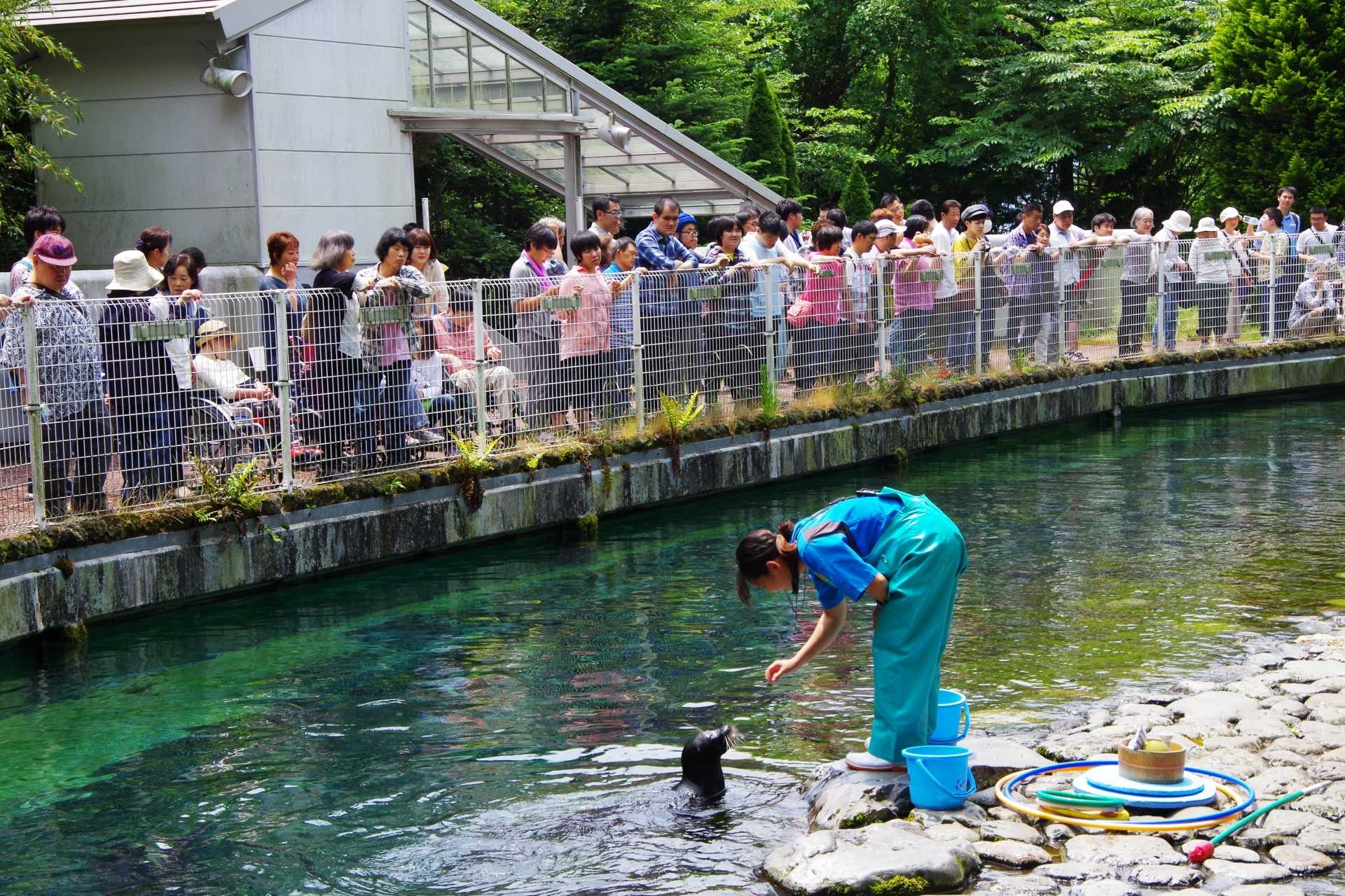 進和万田ホーム　初夏のレクリエーション