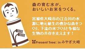 Present Tree in みやぎ大崎／ミズナラの苗木755本ご利用に感謝！