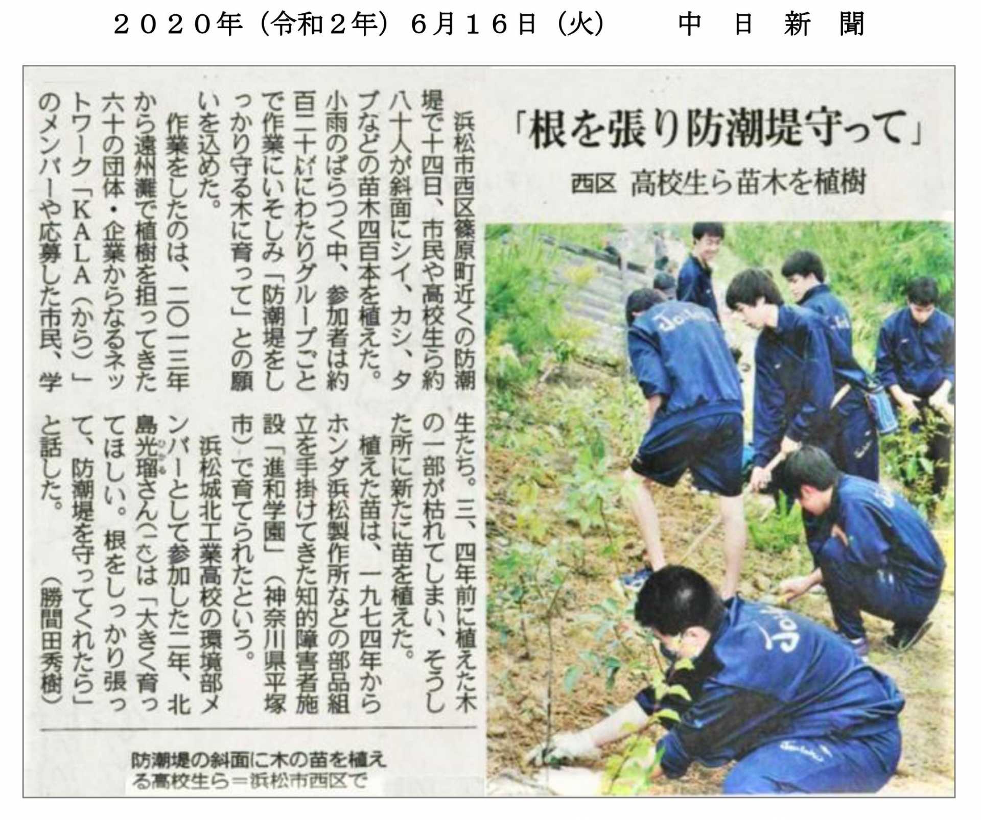 中日新聞に記事掲載／浜松の防潮林に進和学園の苗木を植樹！