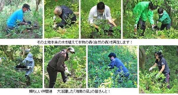 第18回湘南国際村めぐりの森植樹事業 ～ 分散実施で目標達成！～