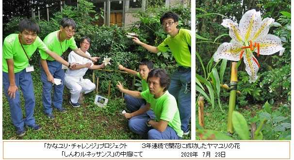 「津久井やまゆり園」事件から４年 ～ ヤマユリの花に追悼の念を込めて！ ～