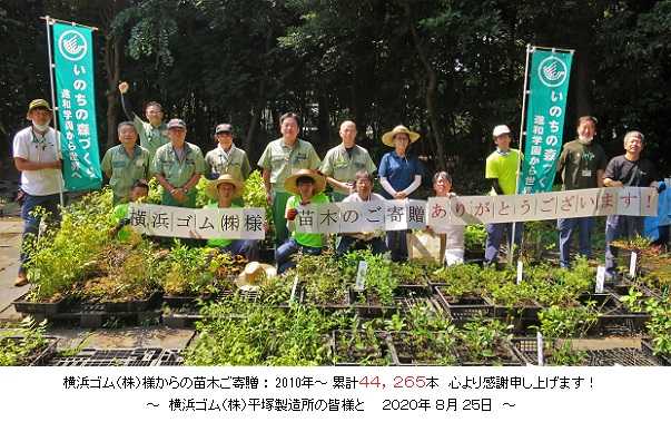 横浜ゴム様からの苗木ご寄贈に感謝！～１０年経過／累計：４4，２６５本！～