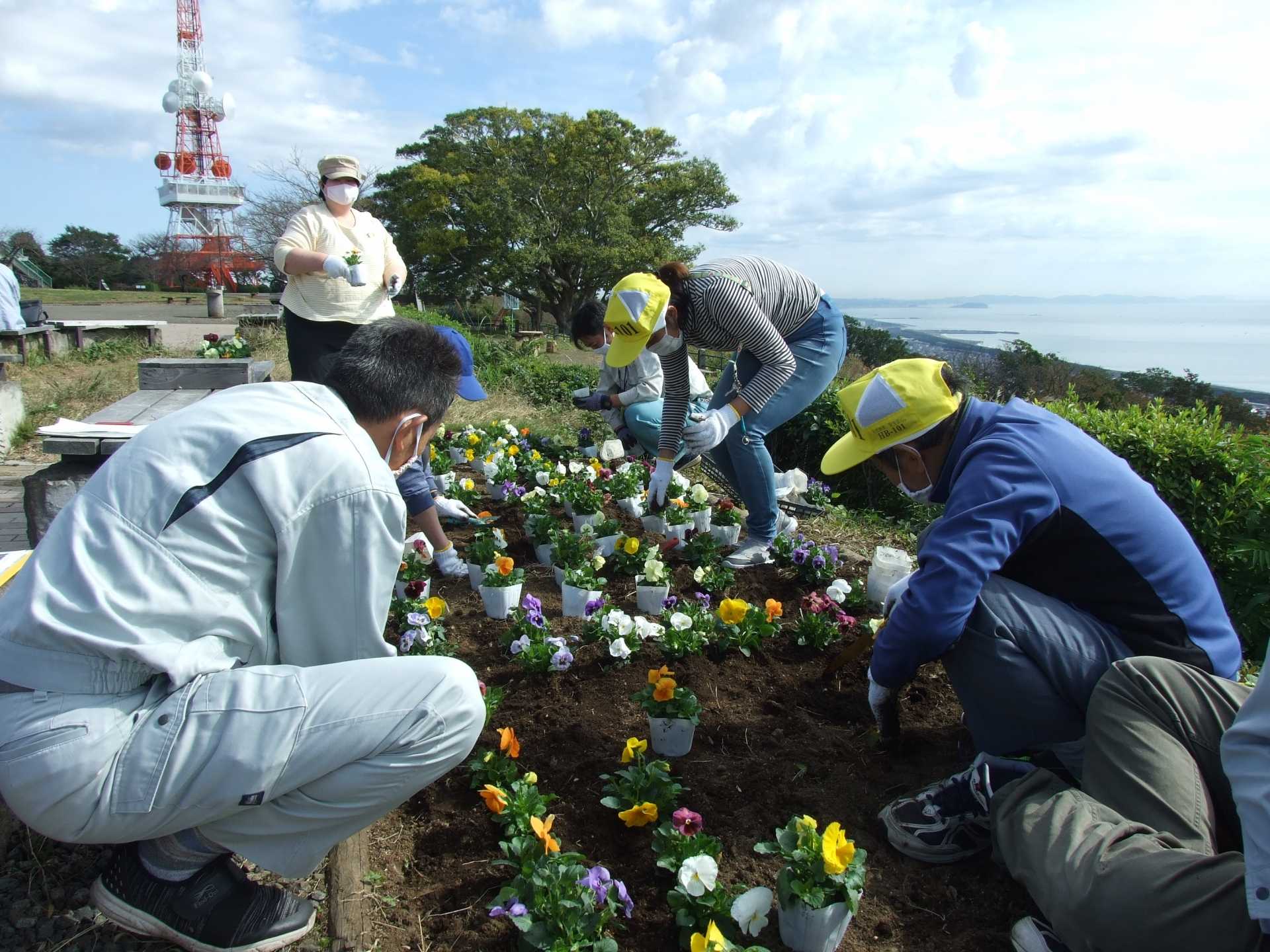 サンメッセしんわ　湘南平の花壇に花を植栽！