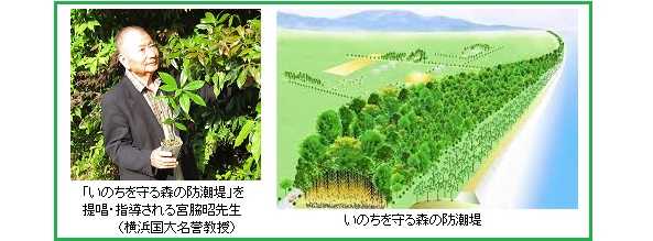 いのちを守る森の防潮堤／遠州灘（浜松・掛川）に苗木提供！