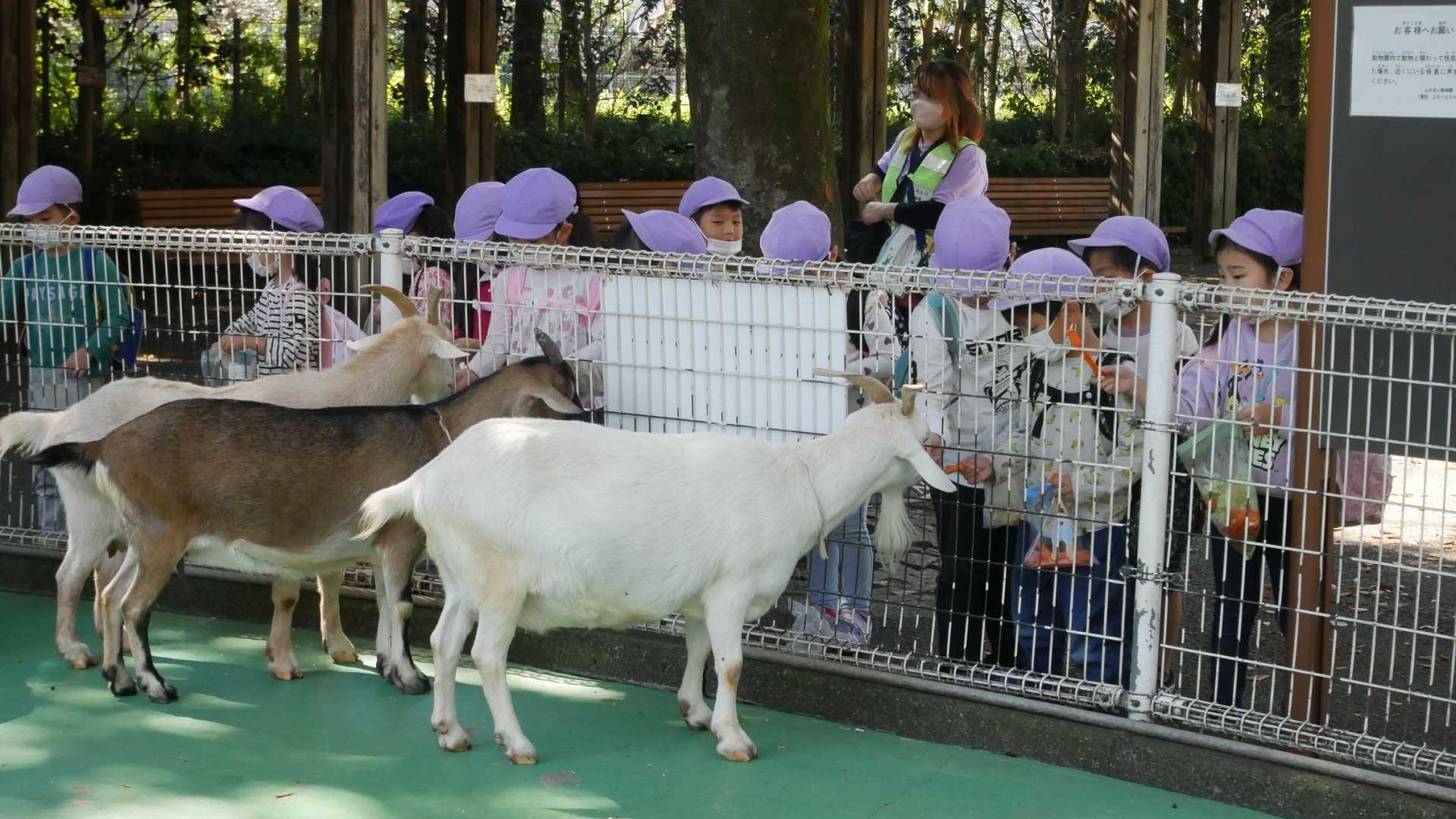 10月21日　４，５歳児えんそく（平塚総合公園）