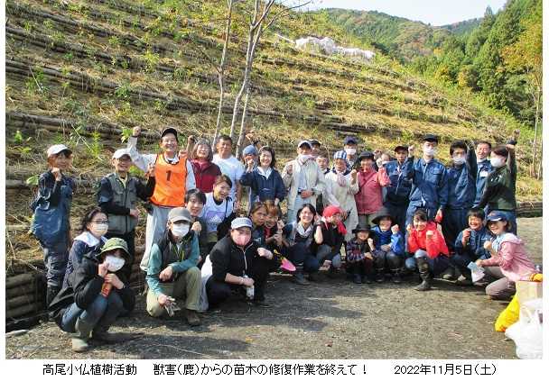 獣害から苗木を救済！／ 高尾小仏植樹