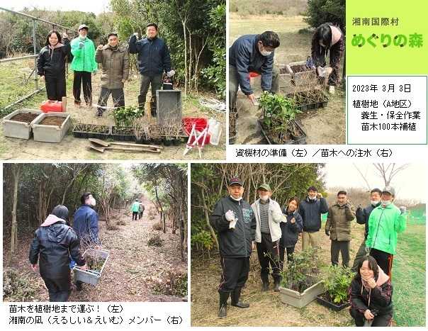 湘南国際村めぐりの森　植樹地の養生・保全作業 － 1,000本の補植を計画 －