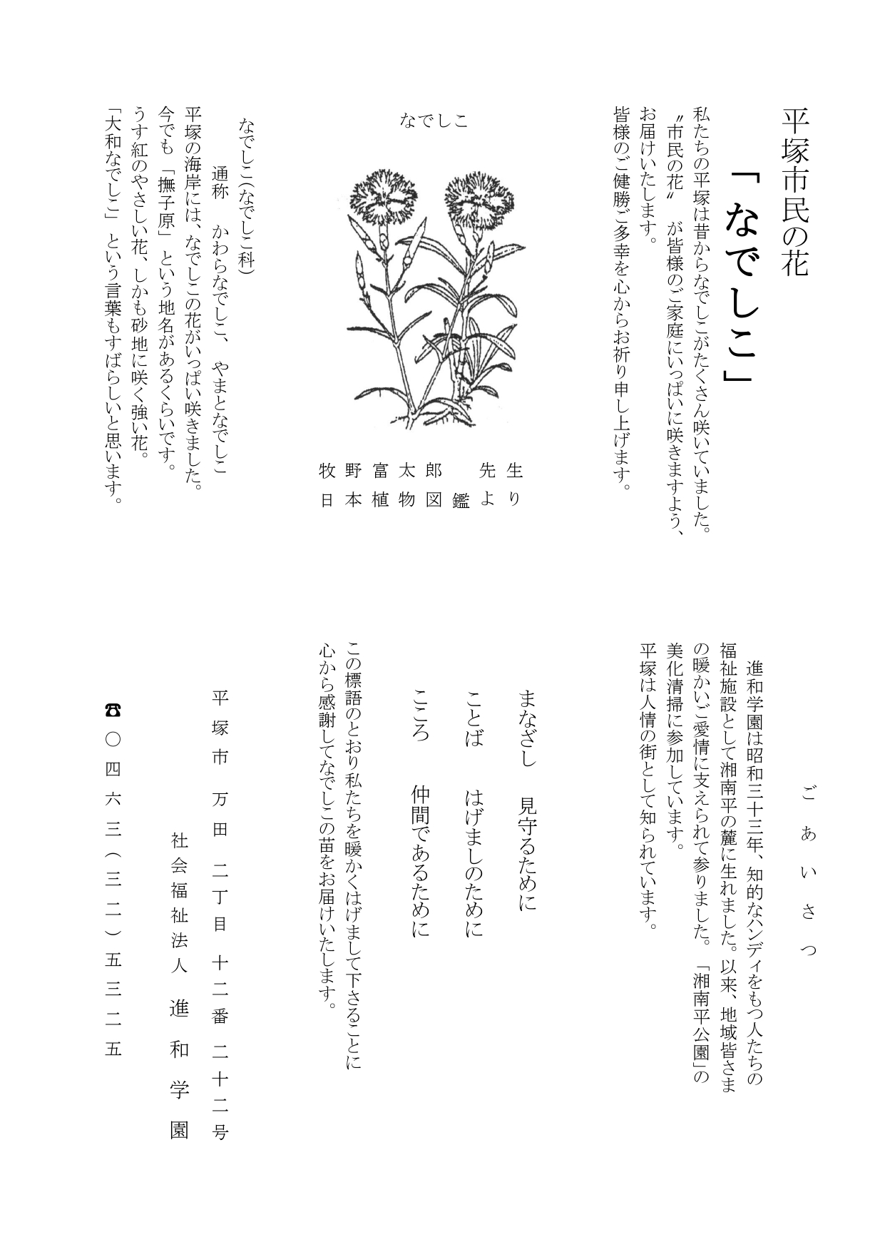 令和7年 平塚市民の花「なでしこ」の苗 配布のお知らせ