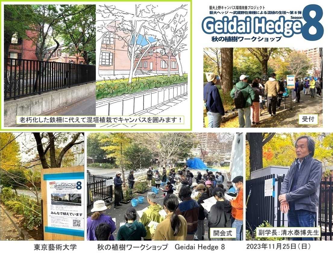 東京藝大Geidai Hedge8に苗木提供！ | インフォメーション | 進