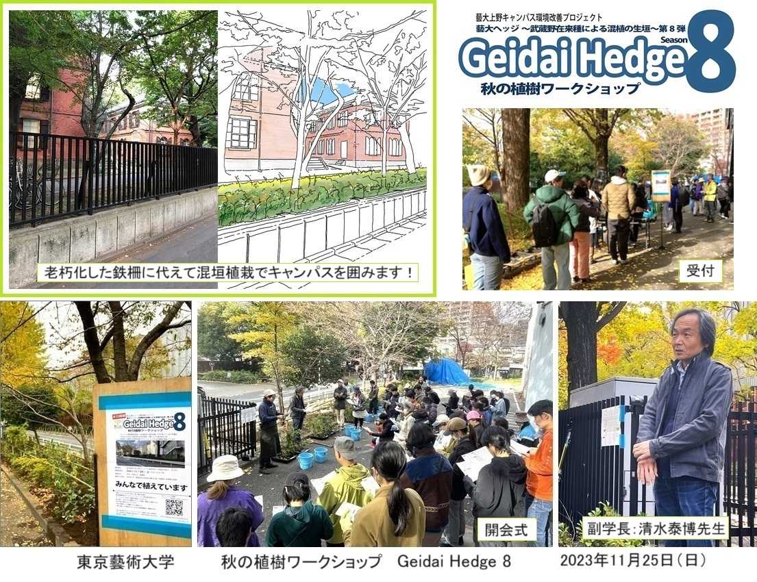 東京藝大Geidai Hedge8に苗木提供！