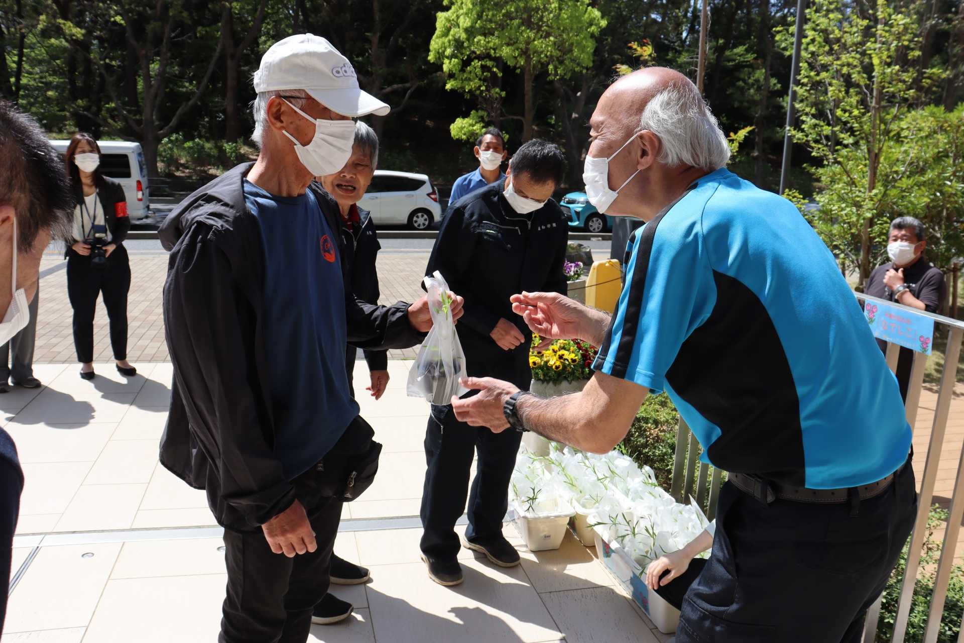 令和6年 平塚市民の花「なでしこ」の苗 配布しました！