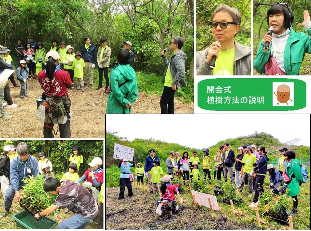 Present Tree 湘南国際村めぐりの森 II ～ シュローダー・インベストメント様 ～