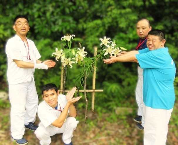 「かなユリ・チャレンジ」～ヤマユリが咲きました！～