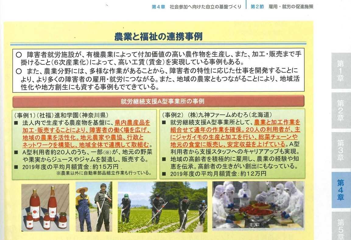 令和3年版 障害者白書でルネッサンスが紹介されました！ | インフォメーション | 進和学園