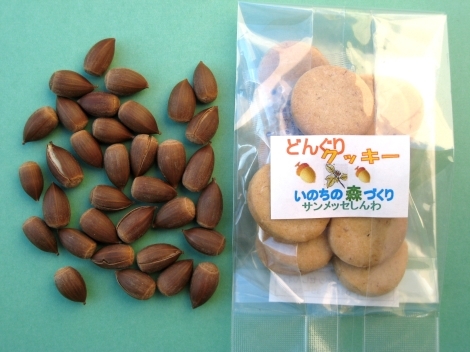 栽培カレンダー | 自主生産品・プロジェクト-いのちの森づくり | 進和学園